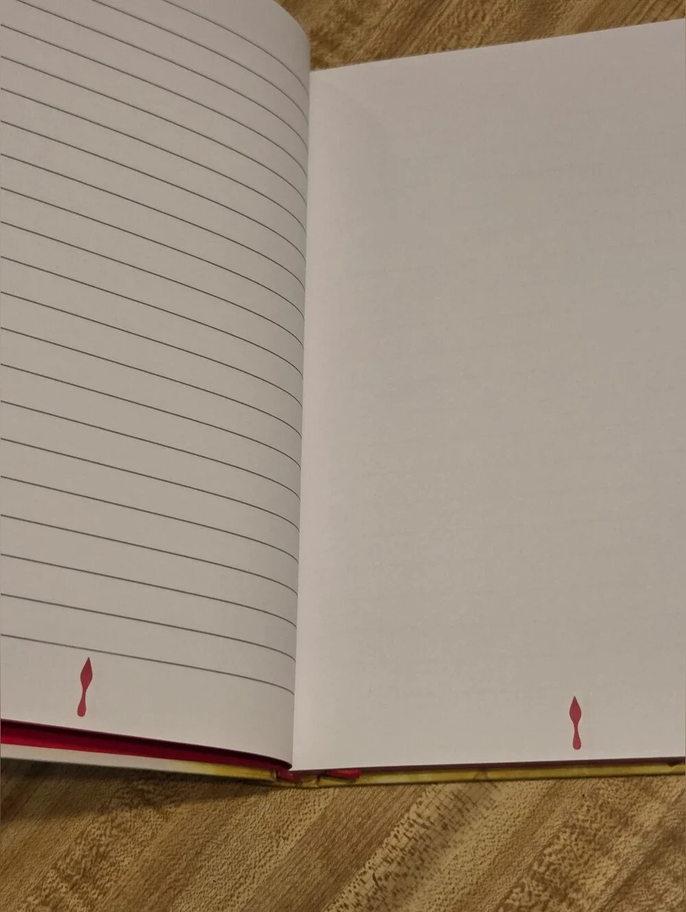 Christian Louboutin NWT RARE hardcover Journal